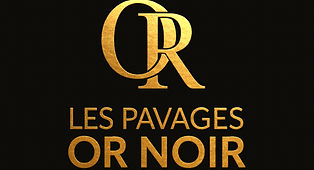 Les pavages or noir