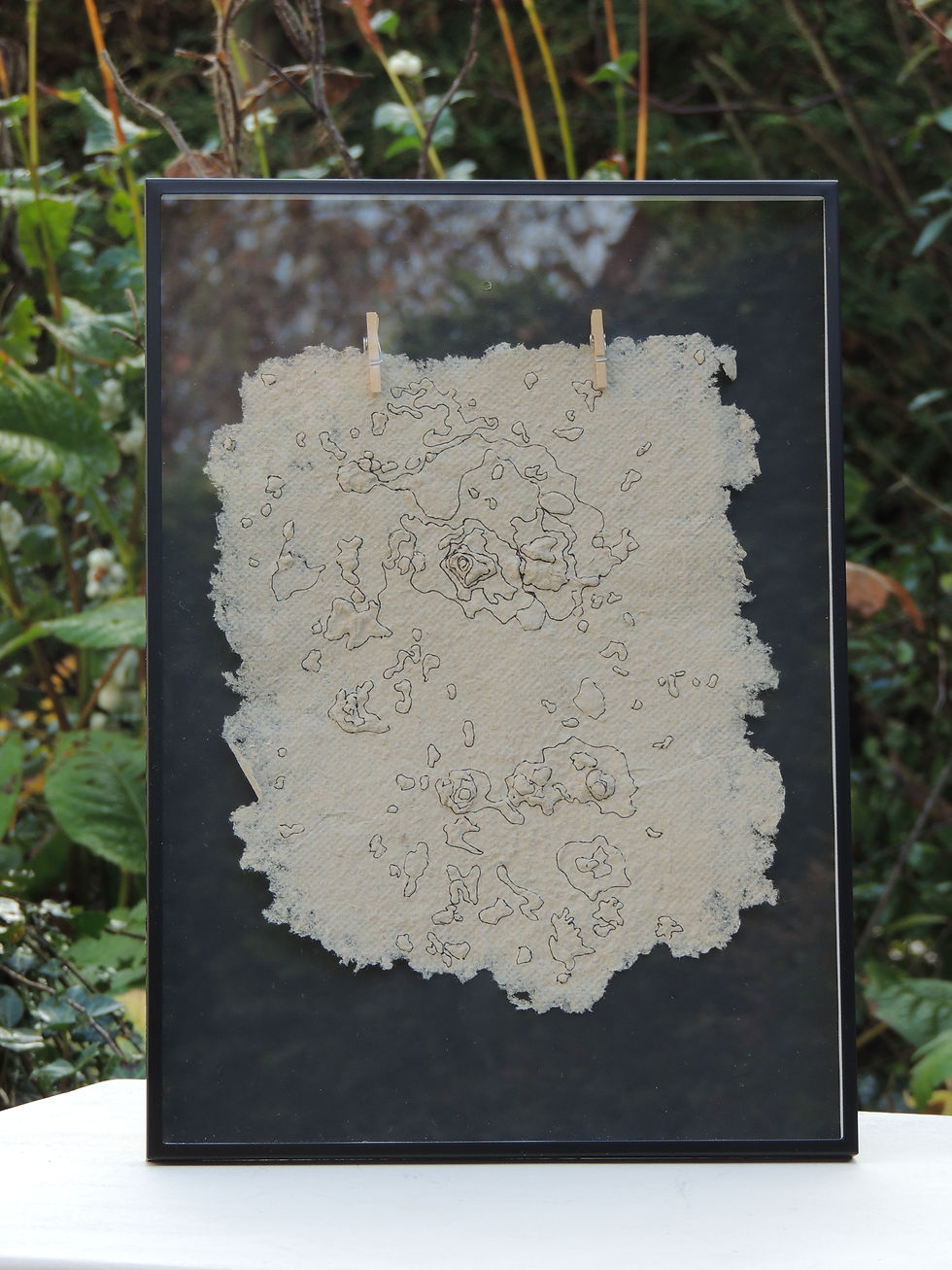 Miniature : TOPOGRAPHY