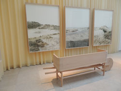 architecture bienal Venice