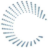 Wordpress Transparent_edited.png