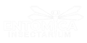 Entomica-Insectarium-Logo-2020-white_edi