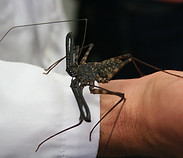 IMG_6601.JPG