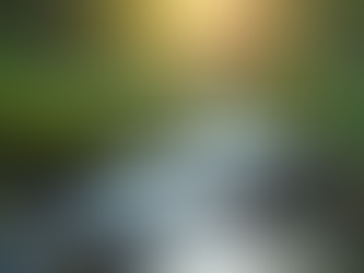 Stres Yönetimi ve Psikolojik İyilik Hali