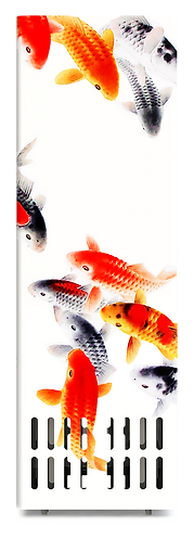 Kois.png