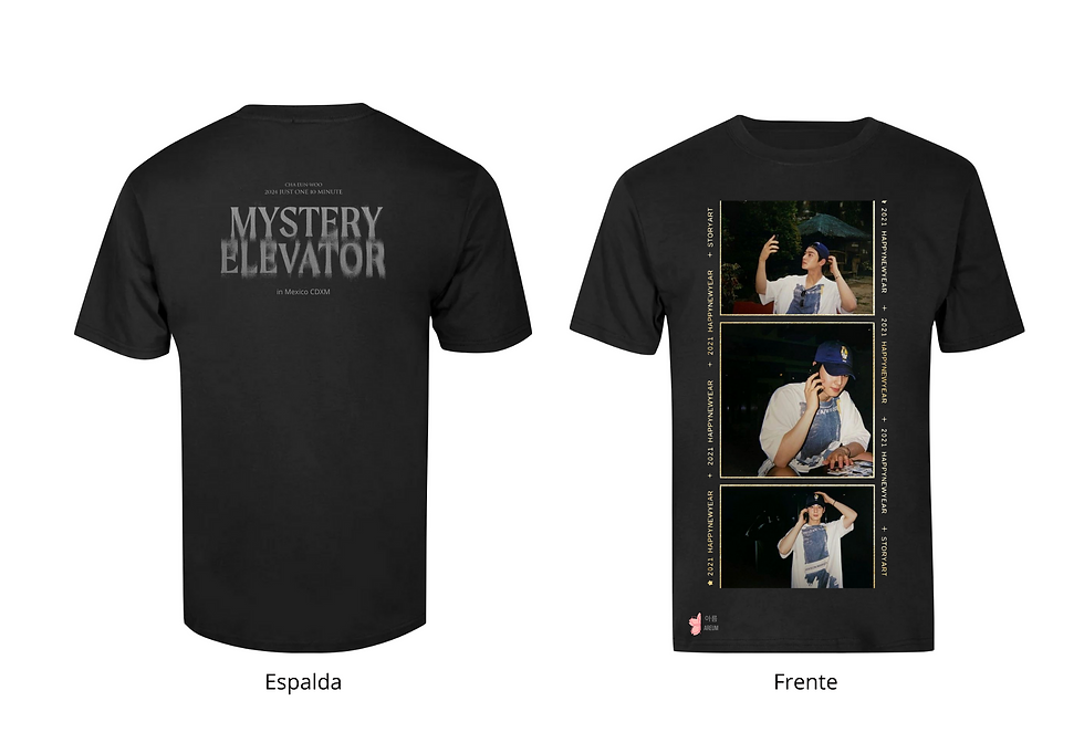 Miniatura: ASTRO - CHA EUN WOO MYSTERY ELEVATOR FAN MADE MERCH