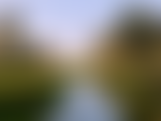 CHÍNH SÁCH RIÊNG TƯ