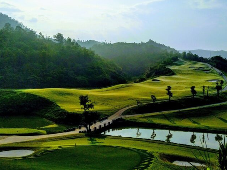 Quy chế hoạt động