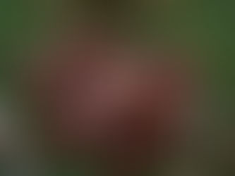 Eco-friendly tees made from recycled coffee grounds