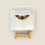 Thumbnail: Orange Cicada