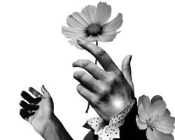 "Reaching for Joy" - Collage 1