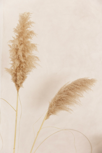 interior design_straws.png