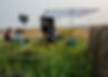 Barilla_B-Roll_RDD0094_edited.jpg