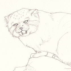 絵のこと_20200614-min.png