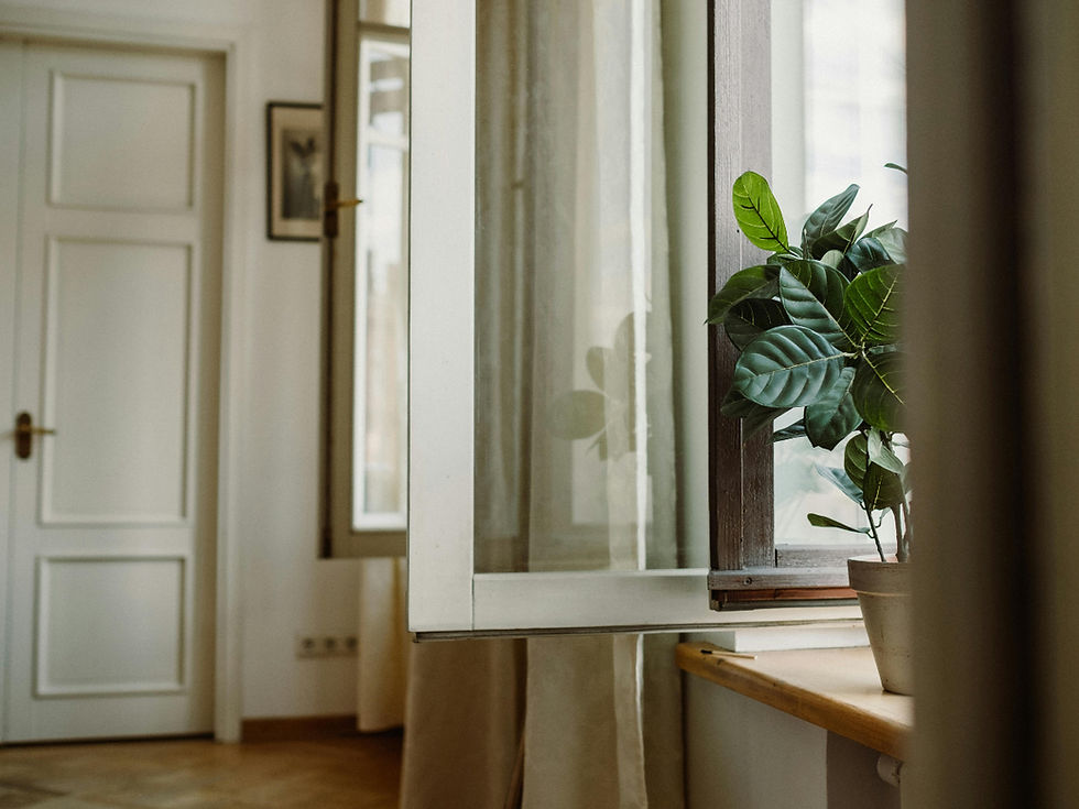 Potted plant on windowsill beside open window. White walls and door in background. Soft natural light creates a calm, airy atmosphere.
