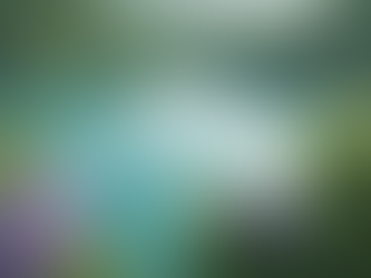 Finding Balance: Psychotherapy Solutions for Women's Lives