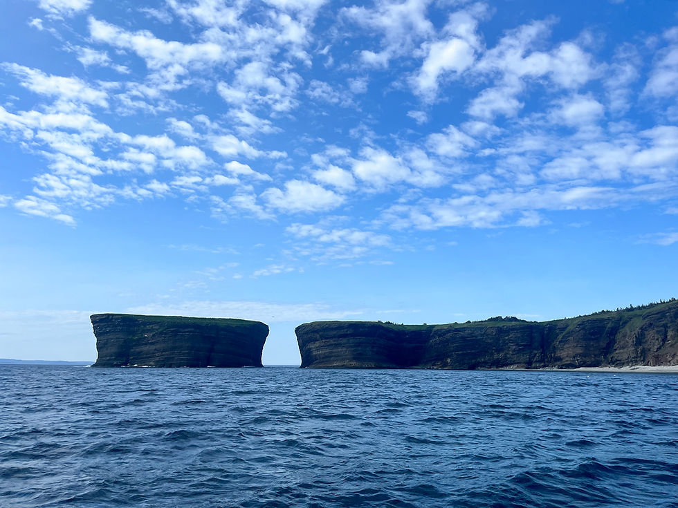 Submitted By: Nikita C.