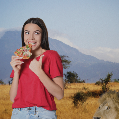 Como calcular o lucro presumido