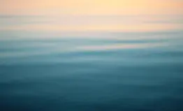Banner.webp