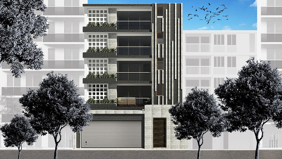 PROYECTO MULTIFAMILIAR - SANTA CATALINA.