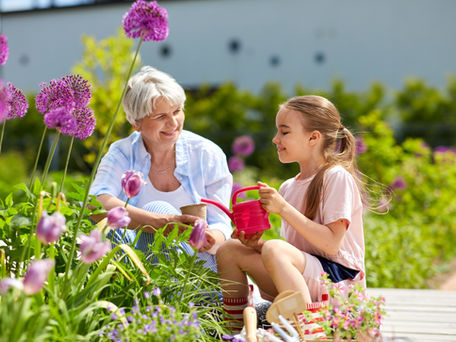 Cultivating age friendly communities