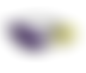 HIGH SCHOOL SPORTS January 24, 2026