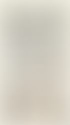 La "Utilidad" de la Posesión Viciosa. Resumen de posición jurídica de Eduardo Belmar C. 