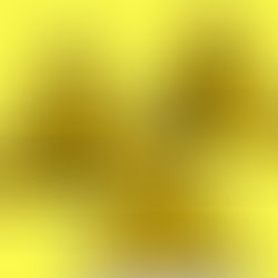 Procedimientos laborales para la empresa tras la muerte de un trabajador.