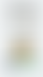 Garantía de Imparcialidad en el Sumario Administrativo: El derecho a inhabilitar al Fiscal o Actuario