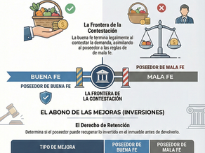 Las Prestaciones Mutuas tras la Declaración de Nulidad: El rigor de la buena y mala fe del poseedor
