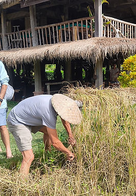 WhatsApp Image 2026-02-16 at 12.32.06.jpeg