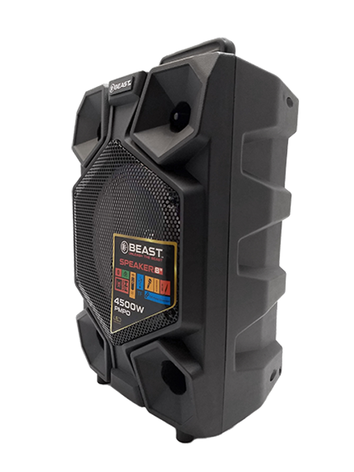 Altoparlante portatile PARTY 210LED 2x10 autonoma \