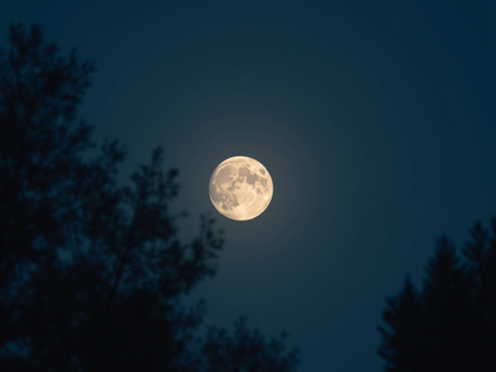 Πώς η Ενέργεια της Νέας Σελήνης Επηρεάζει το Πεδίο Εκδήλωσής σου