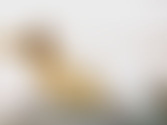 Ενδυναμώνοντας τις Γυναίκες: Ο Κύκλος, η Σοφία του Σώματος και η Υποστήριξη με Iερό Ήχο