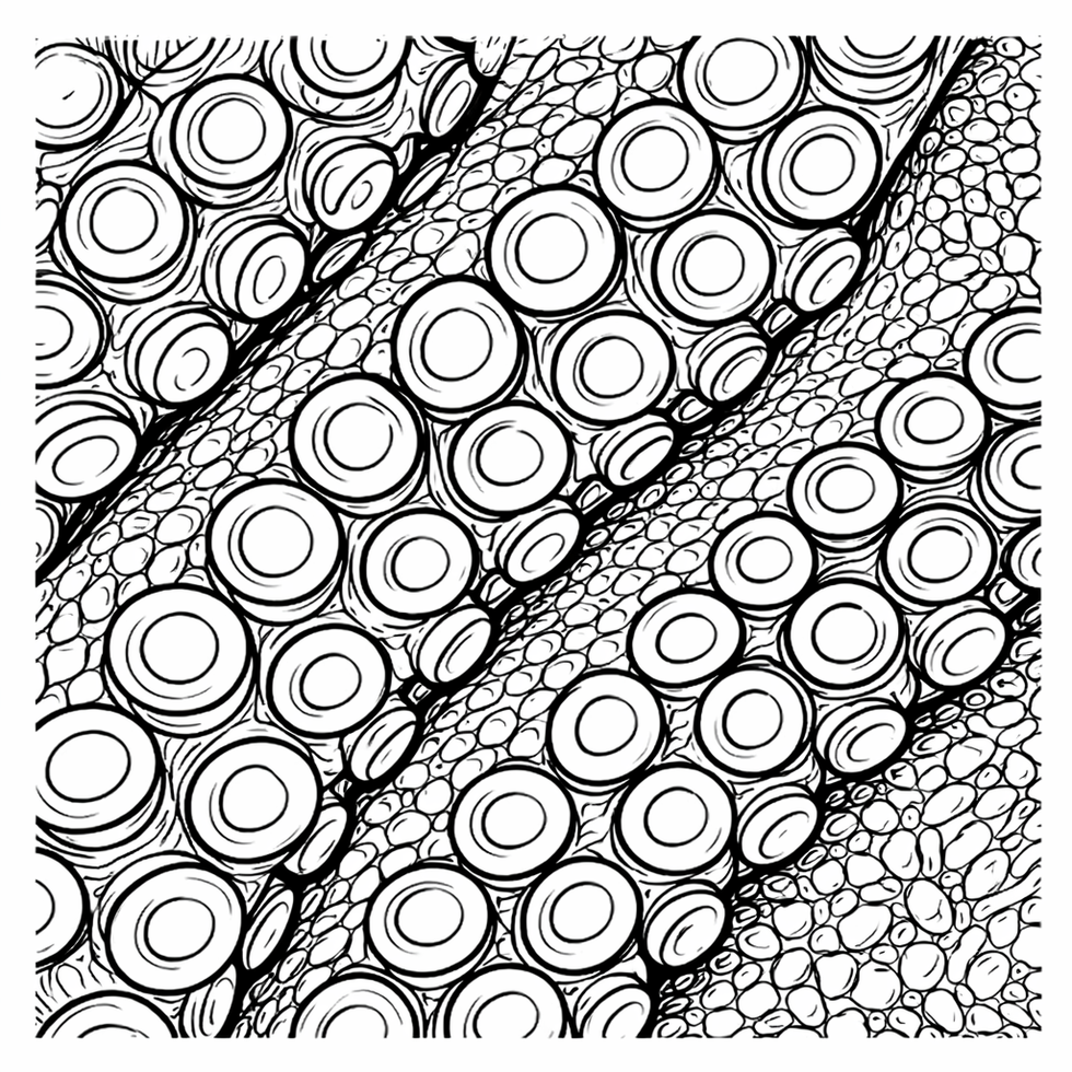 D81E5FF8-C339-46E5-8821-A420E75C59A8