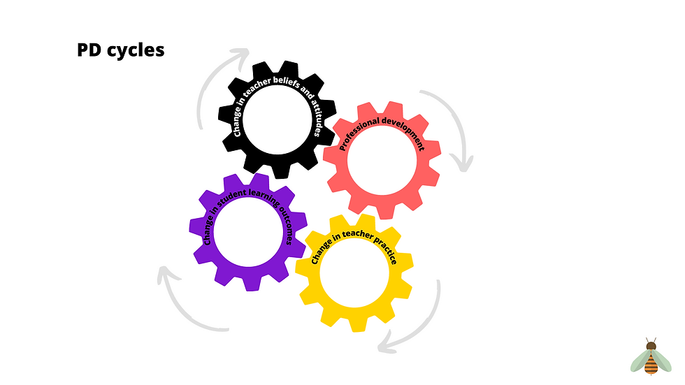 What does effective professional development look like for maths and teaching for mastery?