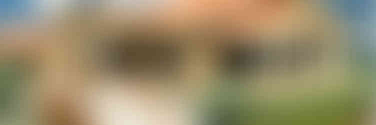 Thich CaThien Vien, Riverside, Ca