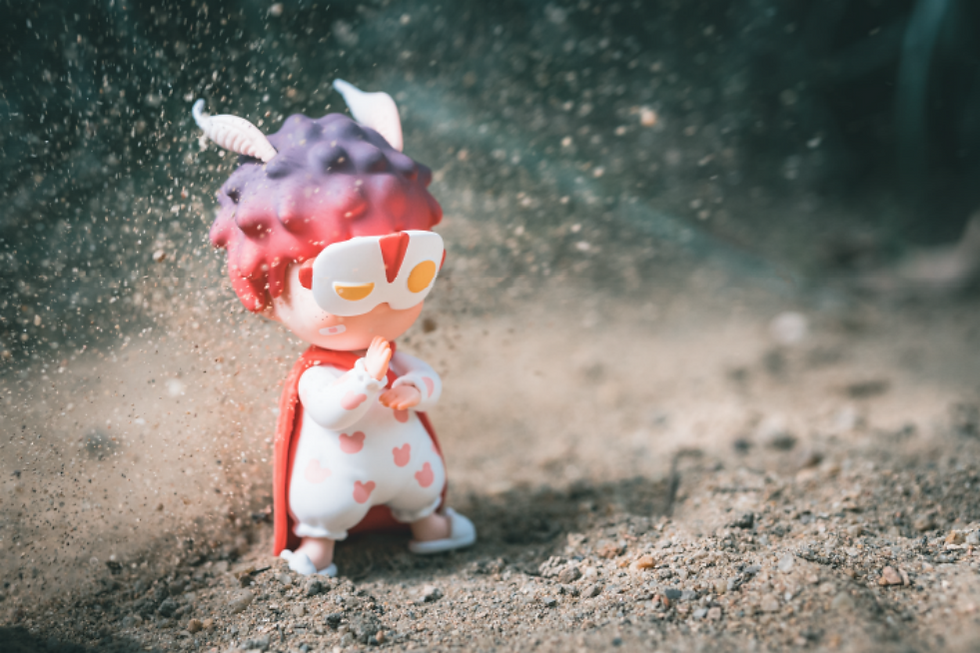 Heyone Huhu's Wishes Series Blind Box