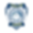 Hochman Logos (12).png