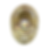 Hochman Logos (13).png
