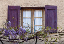 French window.jpg
