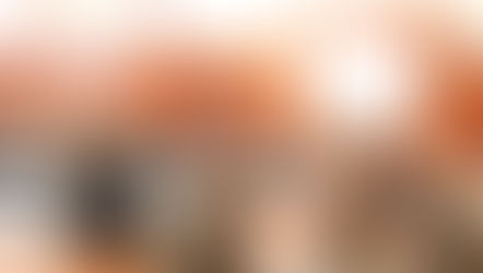 [Germany] Come Over to Albania and Help Us