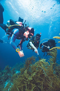 PADI Advanced Open Water Diver Warm Water_0.jpg