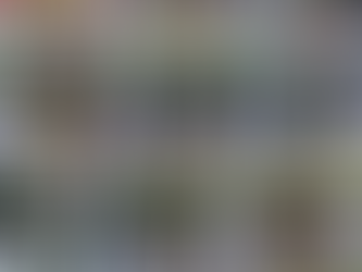 Succesvol KVV Cad/Schol