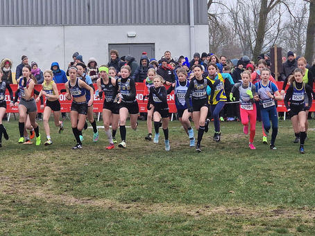 Grote opkomst ACW-jeugd voor PK Veldlopen Hamme