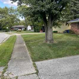 Lawn Care and Outdoor Services