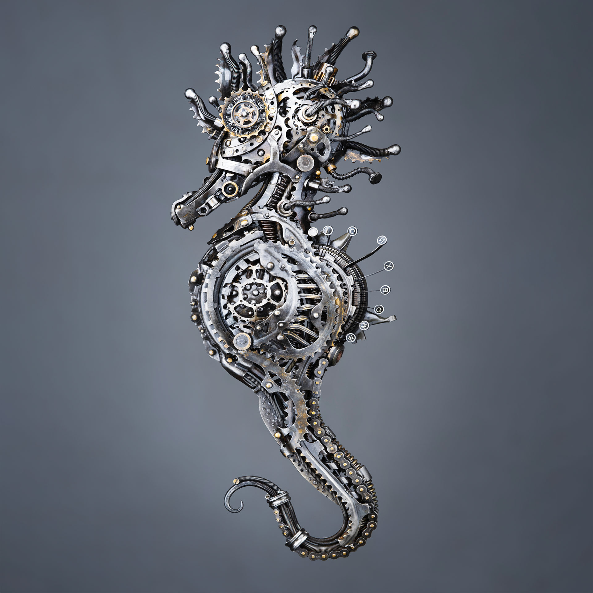 Hippocampus (Seahorse Collection) metal sculpture by Alan Williams