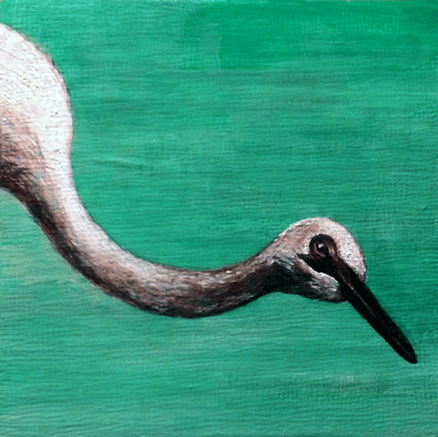 Bird-Issues-Egret-copy.gif
