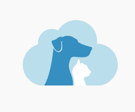 Cumulus Animal Hospital