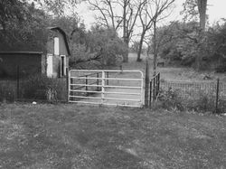 The gate- Charity Teague