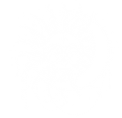 62.png